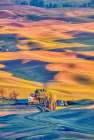 Washington State-Palouse Steptoe Village and farmland at sunset Art Print